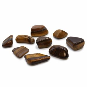 Large Tumble Stones - Tiger Eye - Gold
